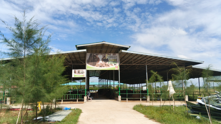 bayambang dairy farm