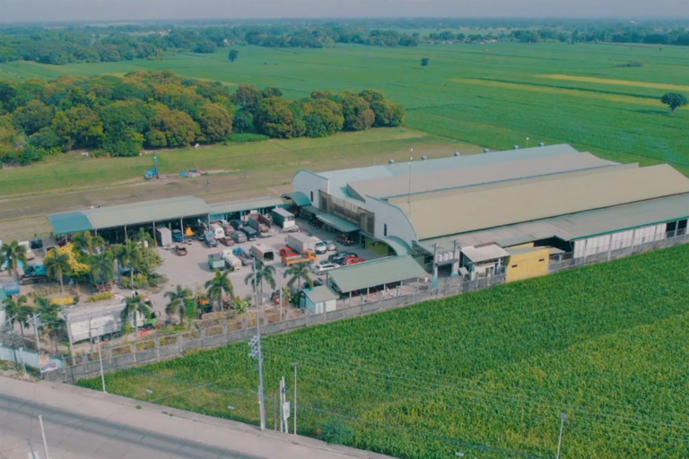 csfirstbamboofactory